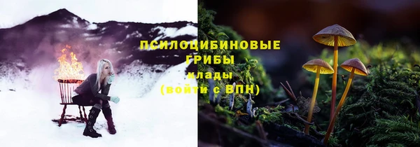 амфетамин Алексеевка