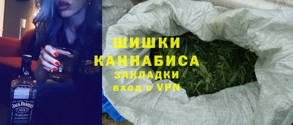 хмурый Алексин