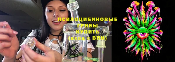 хмурый Алексин