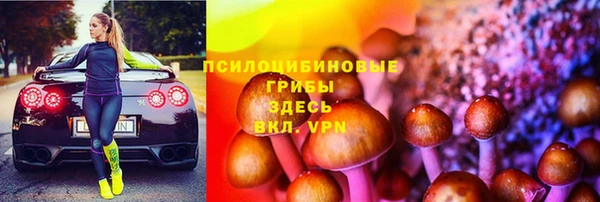 хмурый Алексин
