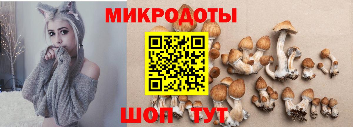 МЕФ   Канабис  Сосновоборск  НБОМе  КЕТАМИН  ГАШ  Вход с VPN  Кокаин  Марихуана 