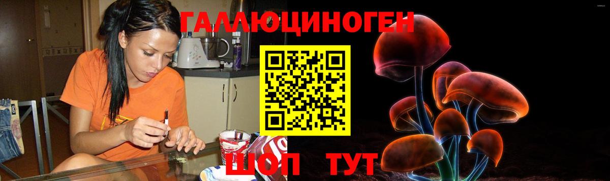 Псилоцибиновые грибы Psilocybine cubensis Сосновоборск
