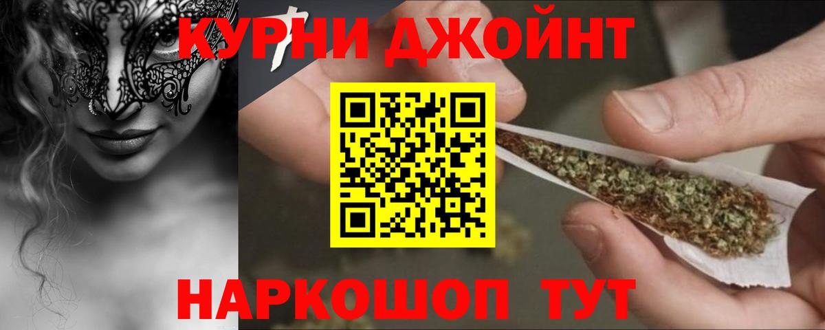 Каннабис сатива Сосновоборск